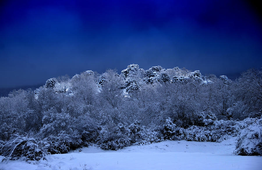 Winter Photograph - Fallen angel of winter by Three MagicFingers