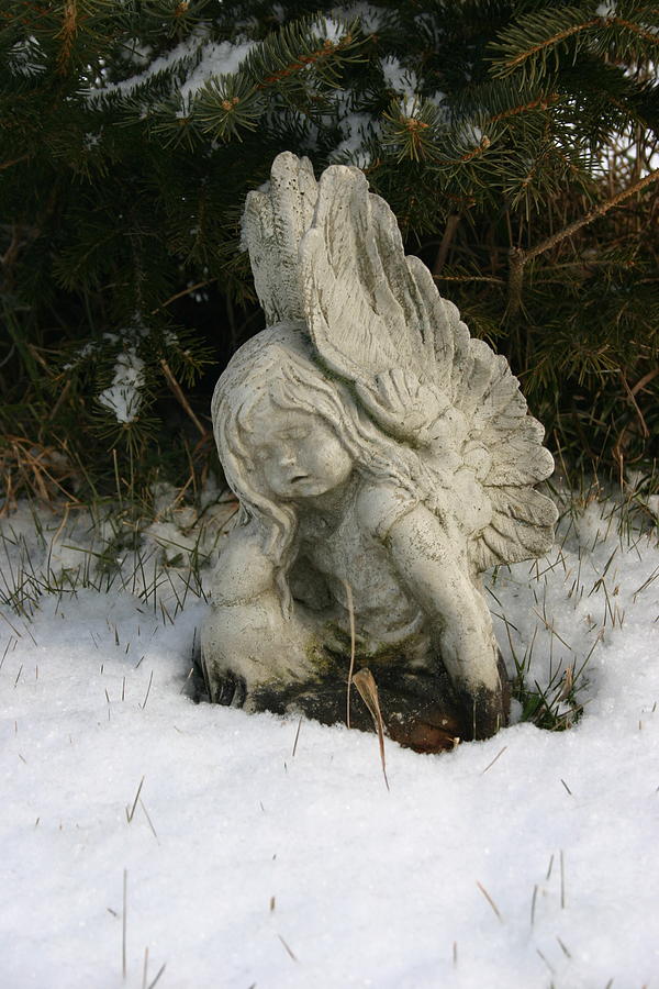 Fallen Angel Photograph by Richard De Wolfe