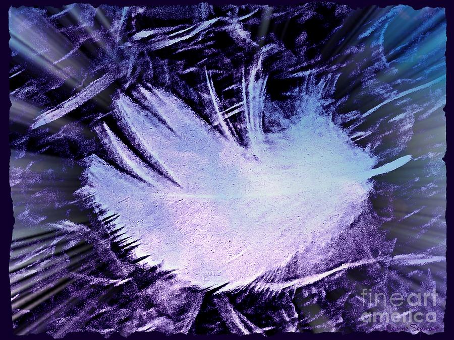Feather Still Life Photograph - Fallen Angel Wing by Leanne Seymour