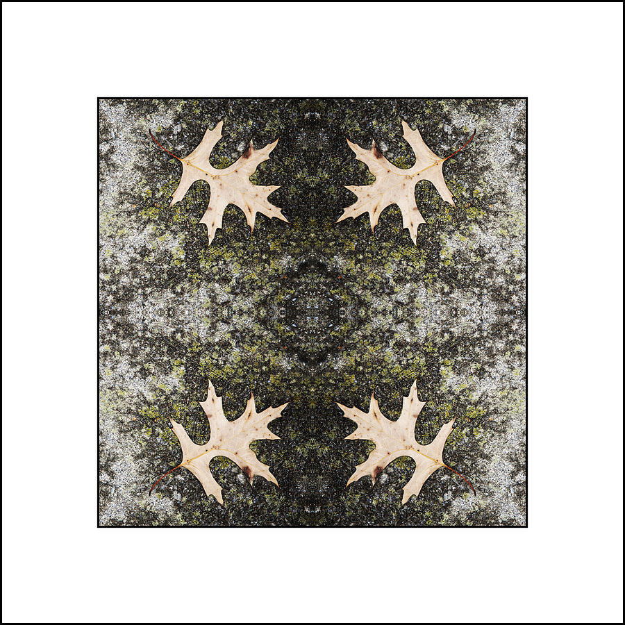 Fallen Photograph by Don Powers Fine Art America