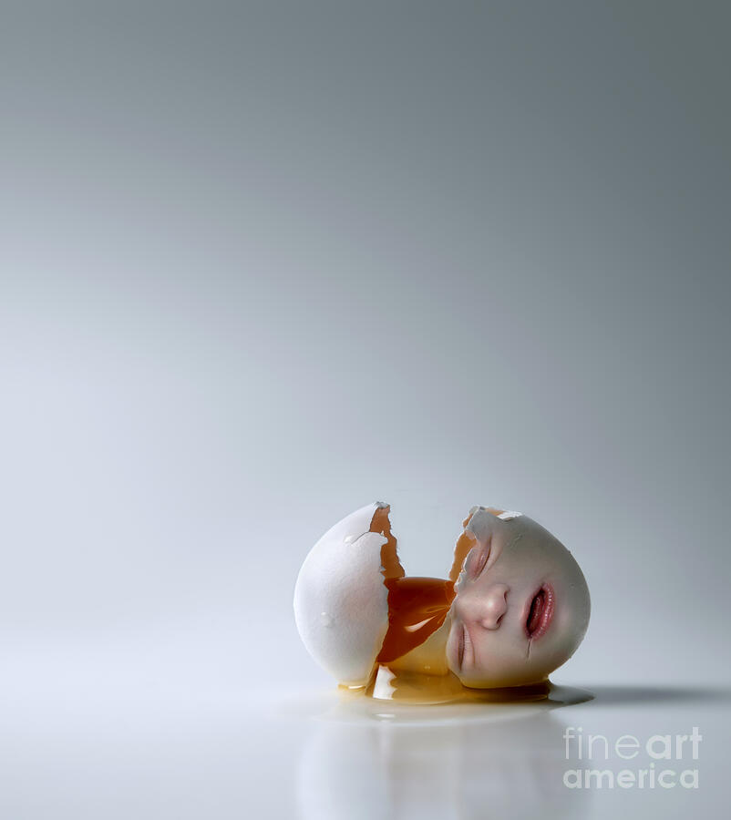 Fallen Egg Photograph by Diane Diederich