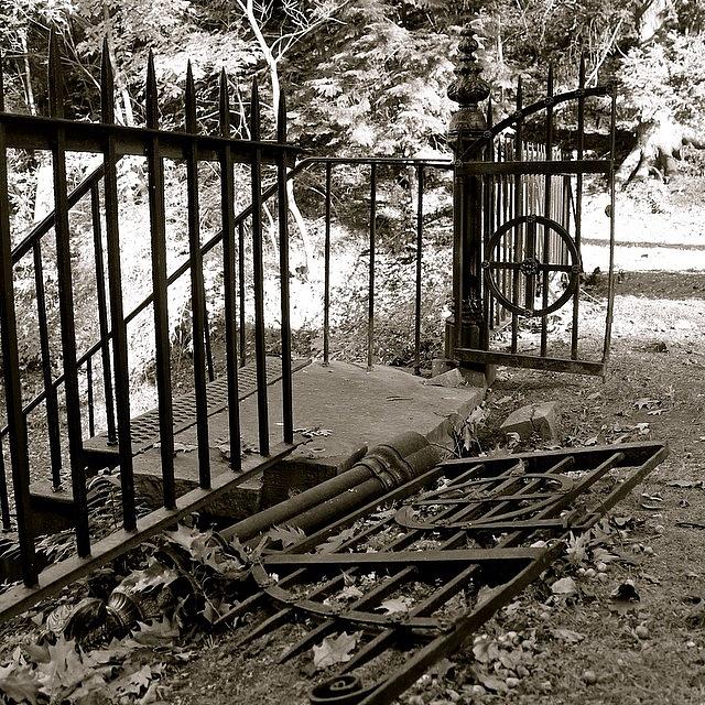Black And White Photograph - Fallen Gate In BW by Justin Connor