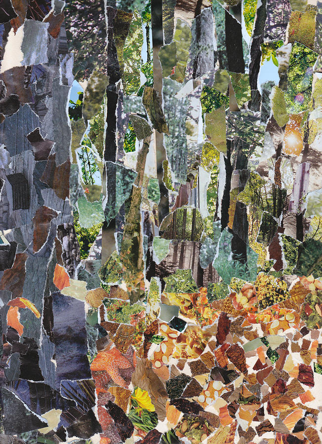 Fallen Leaves Painting by Alan Schwartz