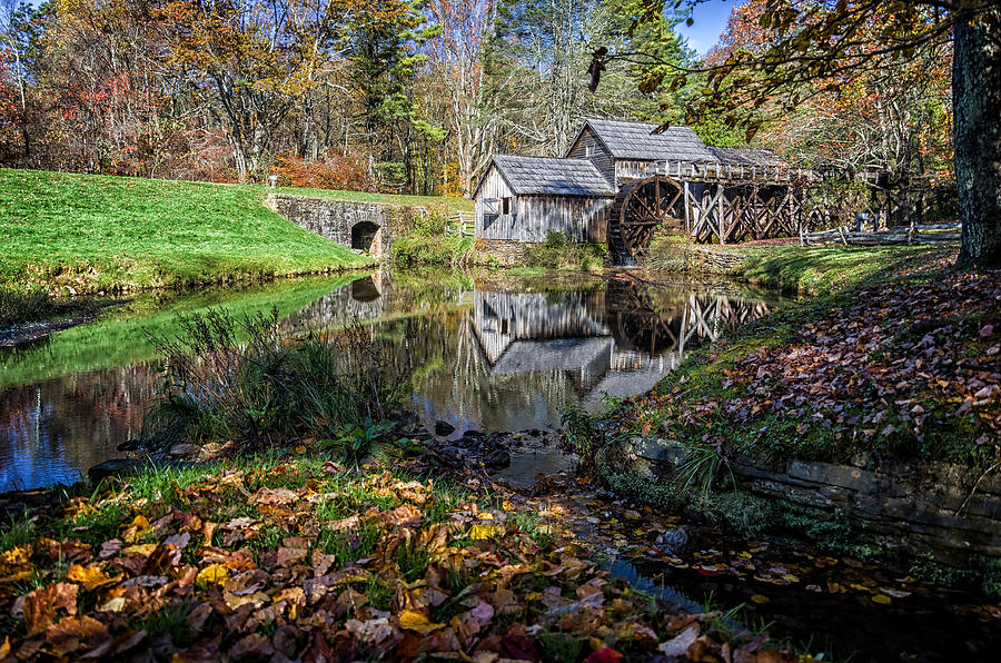 Fallen Leaves at Mabry Mill Photograph by Lori Coleman