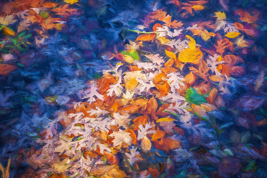 Fallen Leaves Lake Ames Rockaway Township NJ Painted Photograph by Rich ...