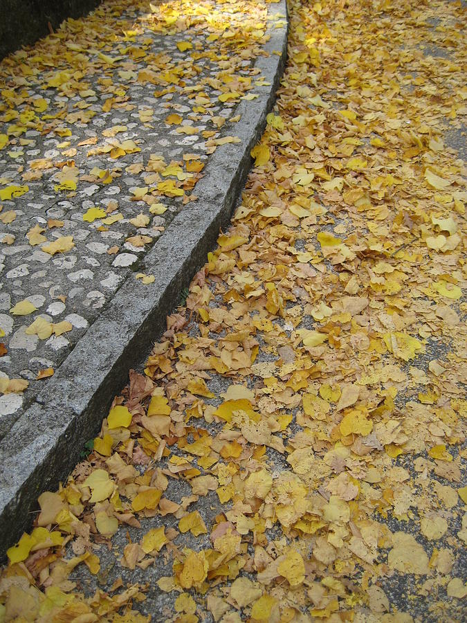 Fall Photograph - Fallen Leaves on an Italian Sidewalk by Crow River North Photography