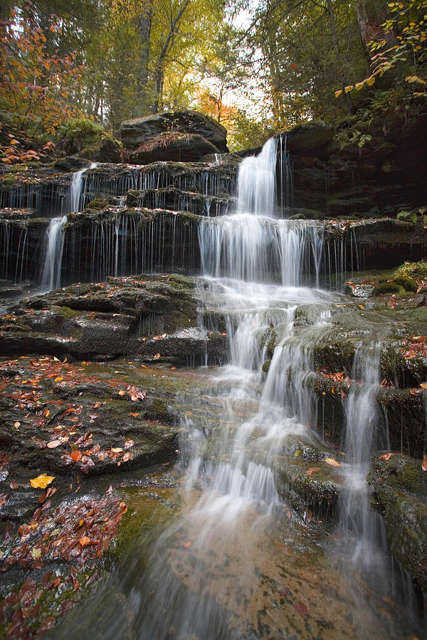 Fallen Leaves On The Nameless Waterfall Photograph by Gene Walls