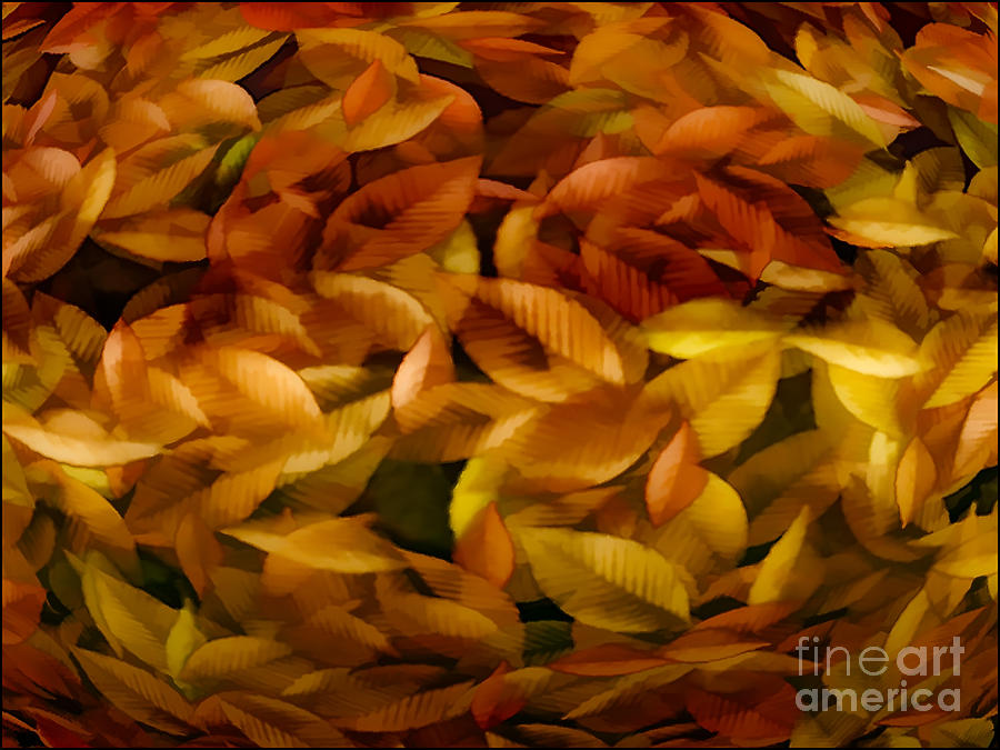 Tree Photograph - Fallen Leaves by Tom York Images