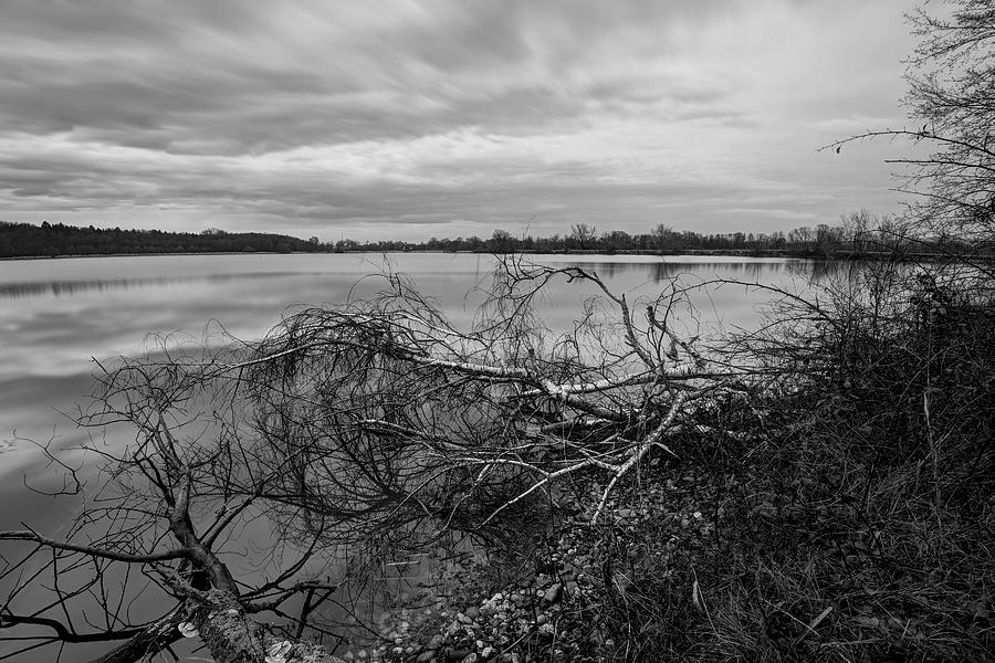 Fallen trees at the lake Photograph by Ivan Slosar