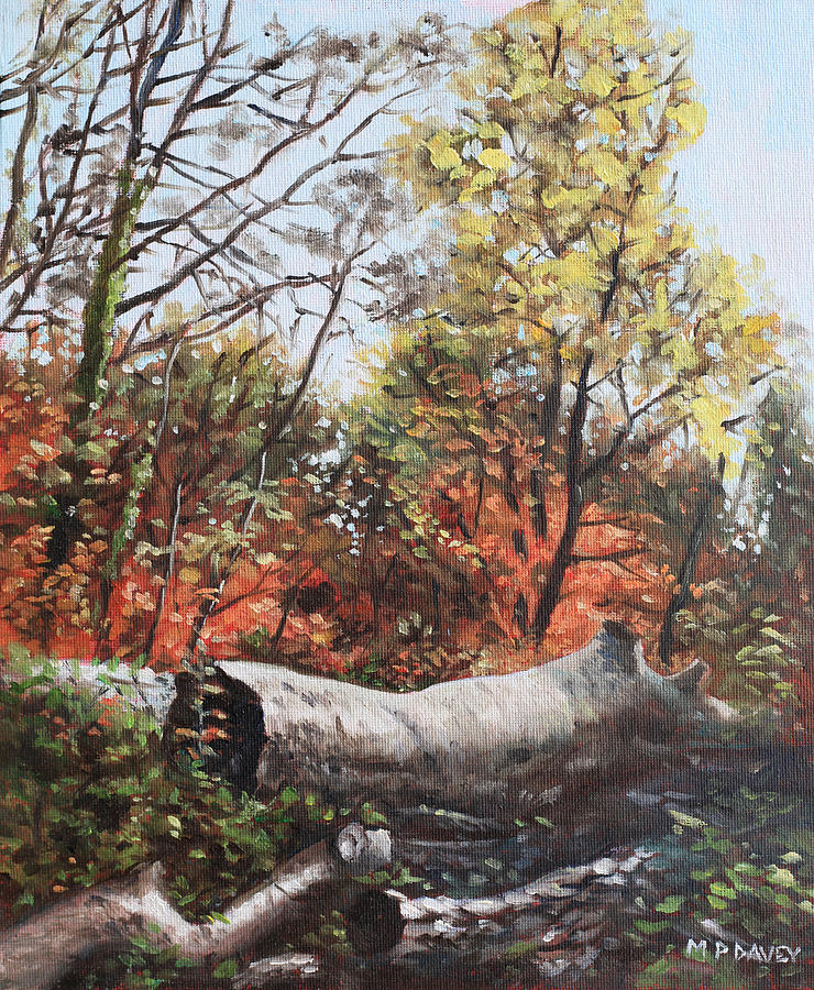Tree Painting - Fallen trees on Southampton Common during Autumn by Martin Davey