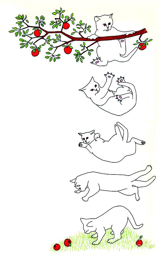 Falling Cat Drawing by Patricia Overmoyer