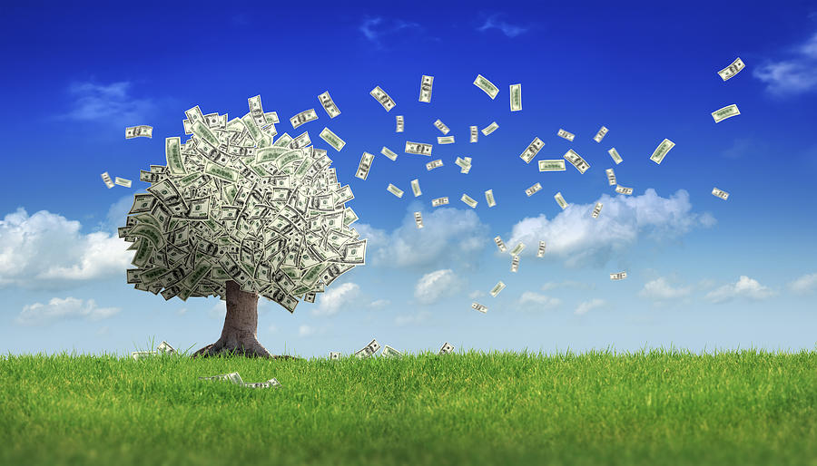 Falling Dollar Bills From Money Tree Photograph by Imagedepotpro