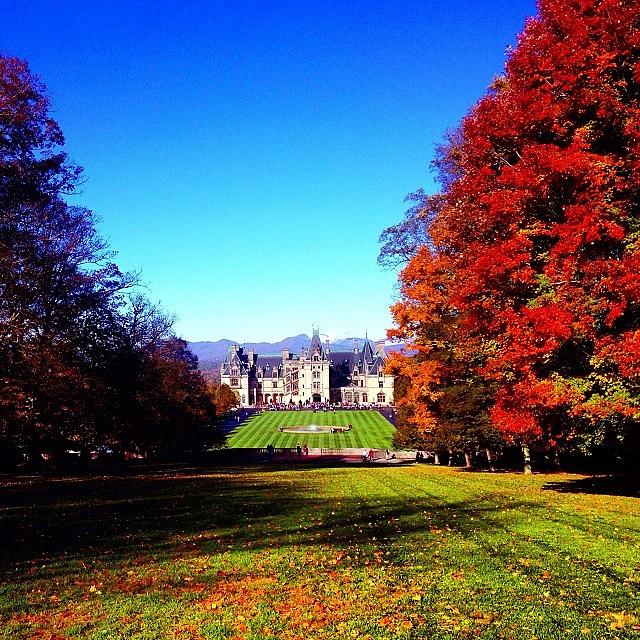 Fall Photograph - falling For @biltmoreestate by Chesley Lanford