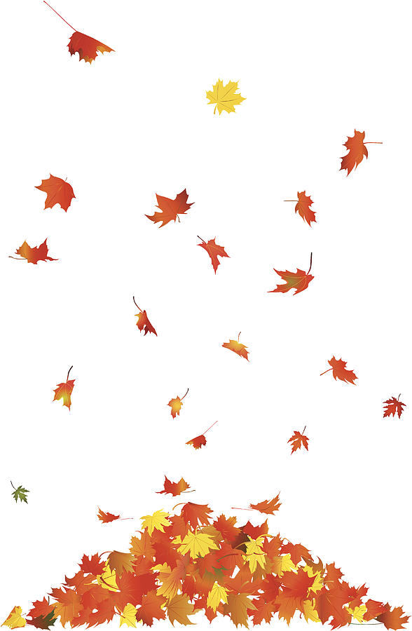 Falling Leaves Drawing by JoeLena