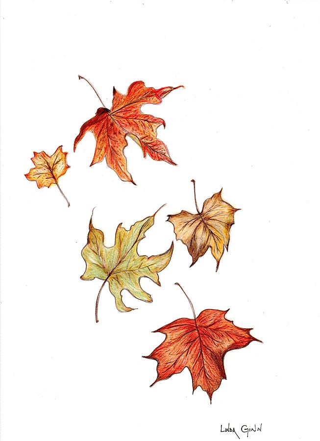 Falling Leaves Drawing by Linda Ginn