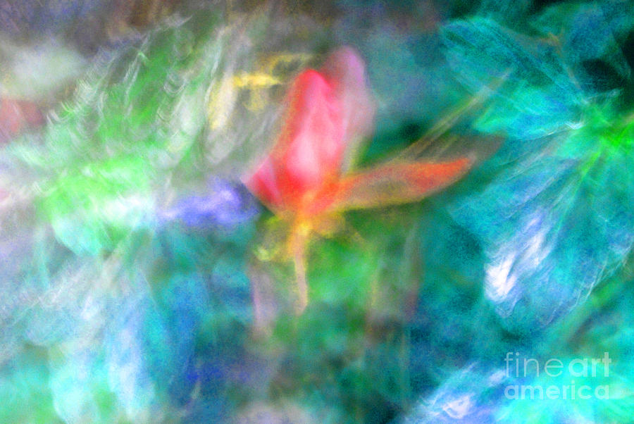 Falling Petal Abstract Blue Green Pink A Photograph by Heather Kirk