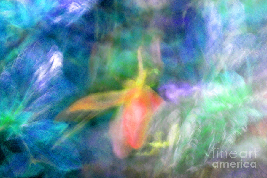 Falling Petal Abstract Blue Green Pink B Photograph by Heather Kirk