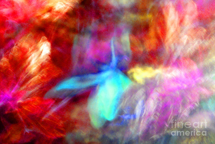 Falling Petal Abstract Red Magenta and Blue B Photograph by Heather Kirk