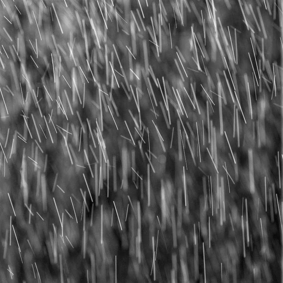 Black And White Photograph - Falling Rain 03 by Russ Dixon