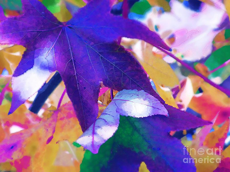 Nature Photograph - Falling Shades of Purple by Diane Miller