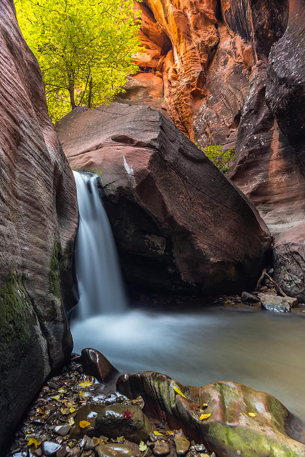 Falling Silk Photograph by Chuck Jason