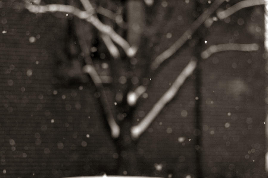 Winter Photograph - Falling Snow by John Ayo