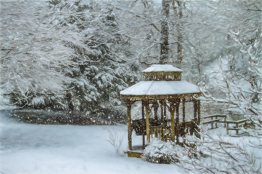 Falling Snow - Winter Landscape Photograph by Barry Jones
