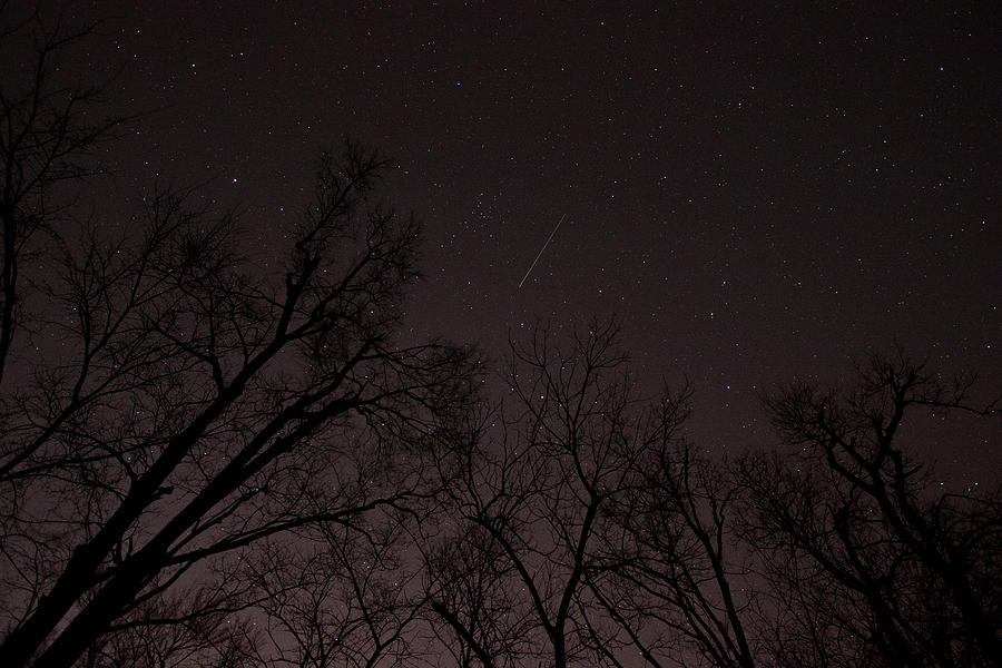 Falling Star Photograph by Brandon Ivey - Fine Art America