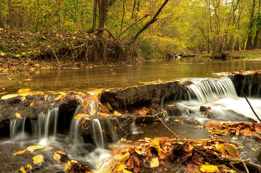 Fall Photograph - Falling Stream by Gregory Ballos