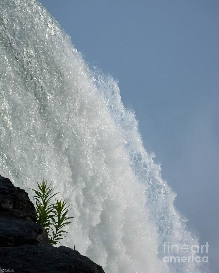 Falling Waters of Niagara Photograph by Lizi Beard-Ward