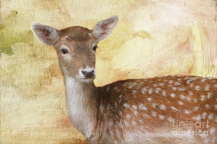 Fallow Deer Portrait Digital Art by Jayne Carney