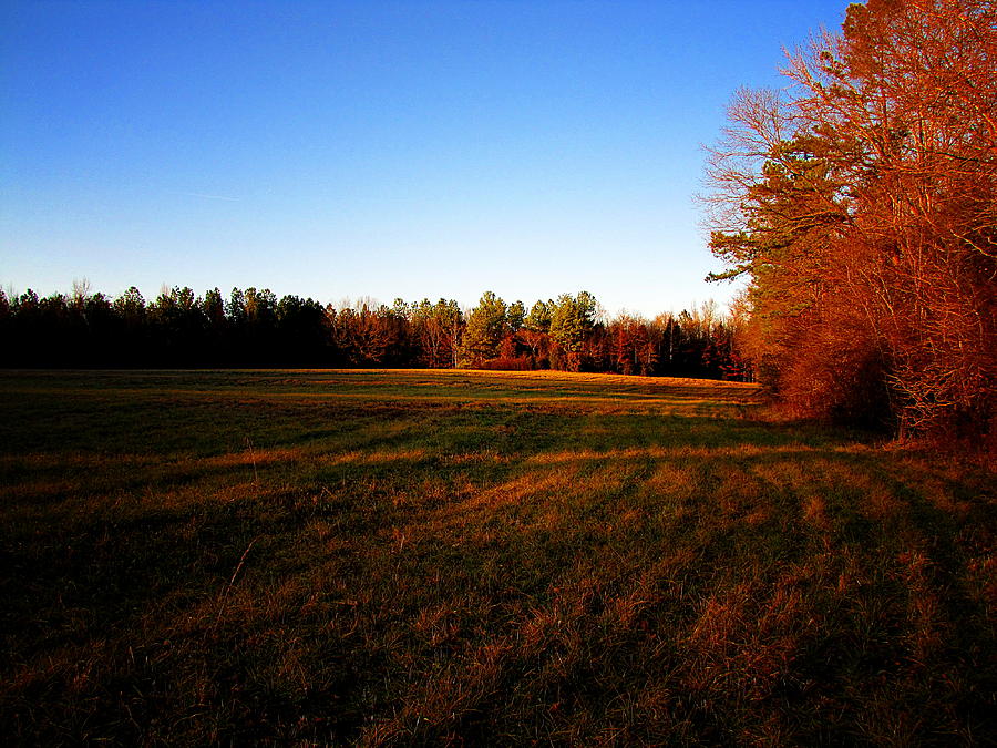 Fallow Field Photograph