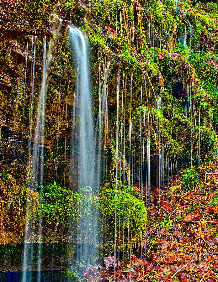 Falls and Moss Photograph by Nick Zelinsky Jr
