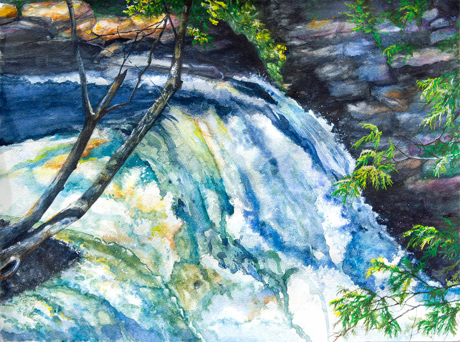 Falls at Childs Park Painting by Patricia Allingham Carlson