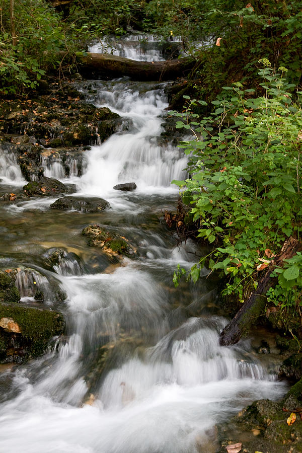 Falls at Mill Spring Photograph by Rick Phipps - Fine Art America