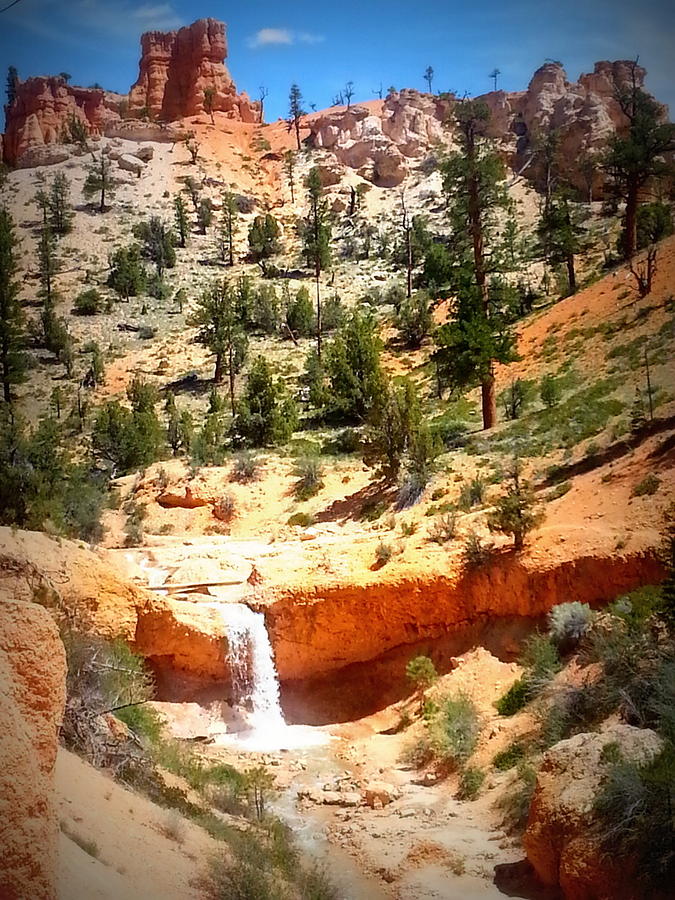 Utah Photograph - Falls at Mossy Cave by Carrie Putz