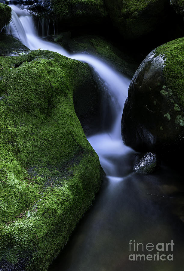 Falls Brook - The Luminous Basin  Photograph by TS Photo