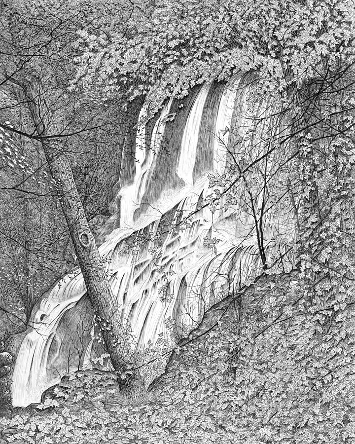 Landscape Drawing - Falls by Carl Genovese