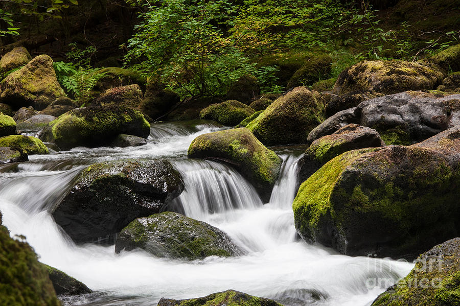 Falls Creek Fall Oregon Photograph by Rachel Rausch Johnson