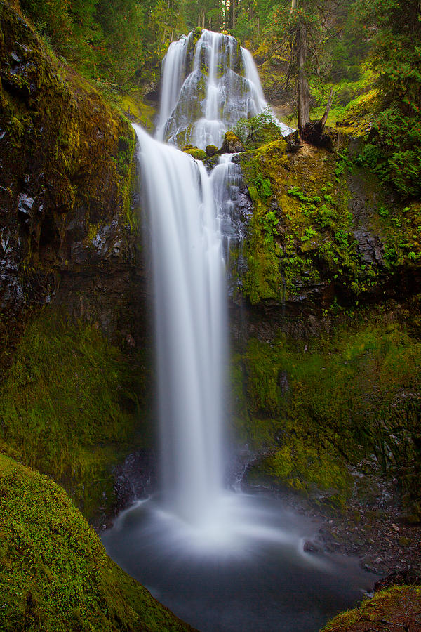 Falls Creek Falls Photograph by Darren White