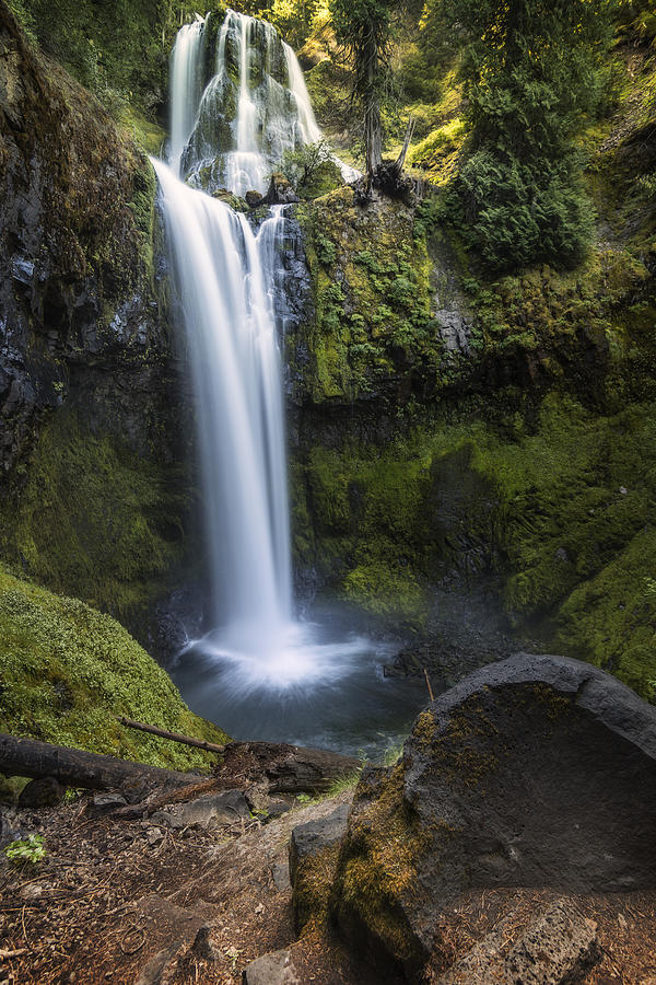 Falls Creek Falls Photograph by Jon Ares