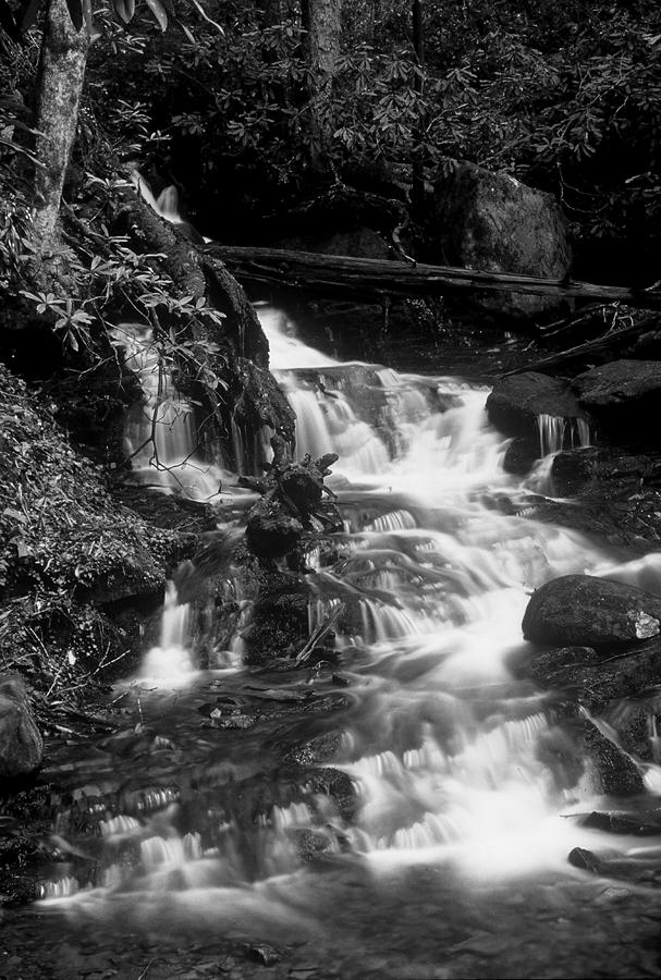 Falls in Black and White Photograph by Rodney Lee Williams
