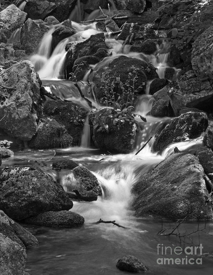 Falls in Shenandoah Photograph by Robert Pilkington