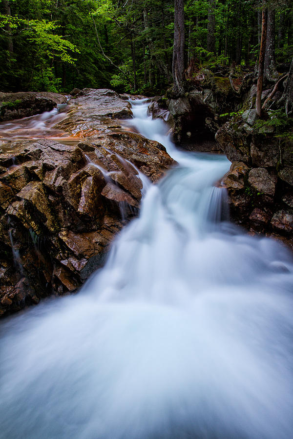 Falls In The Forest Photograph by Jeff Sinon