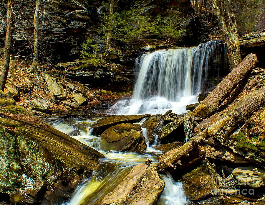Falls in the Woods Photograph by Nick Zelinsky Jr