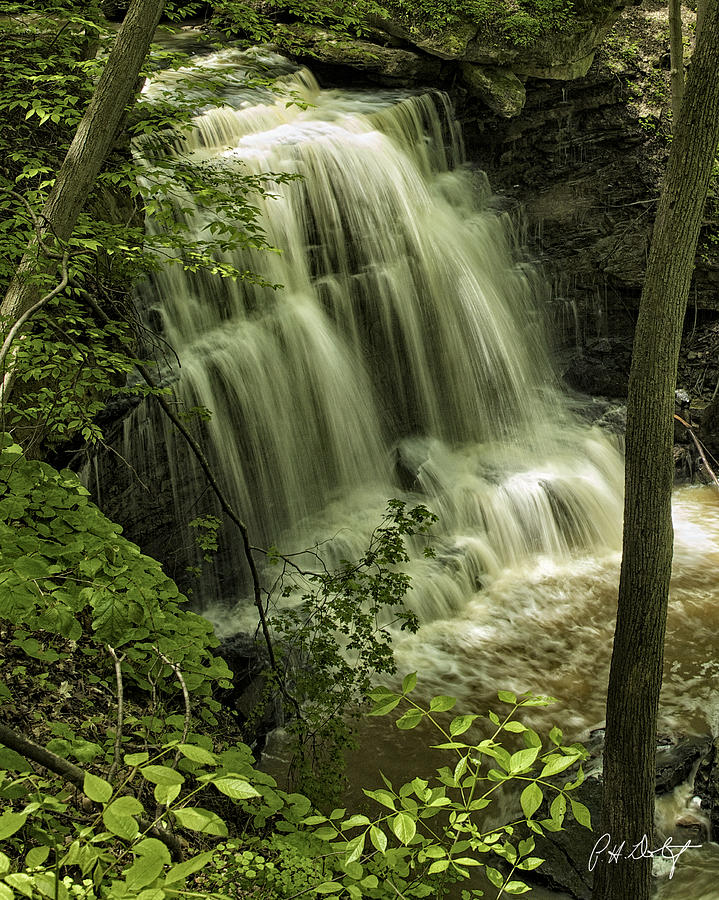 Nature Photograph - Falls in the Woods by Phill Doherty