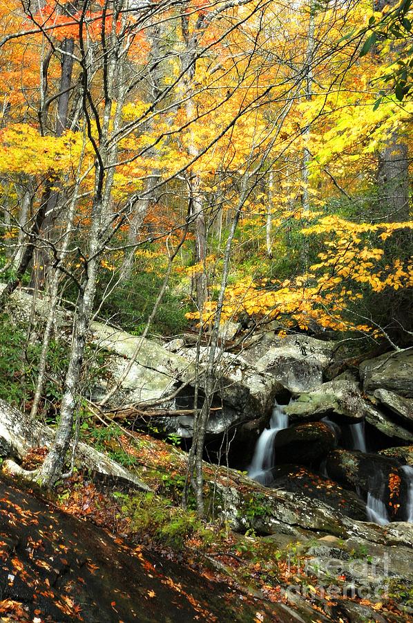 Falls of Autumn Photograph by Benanne Stiens