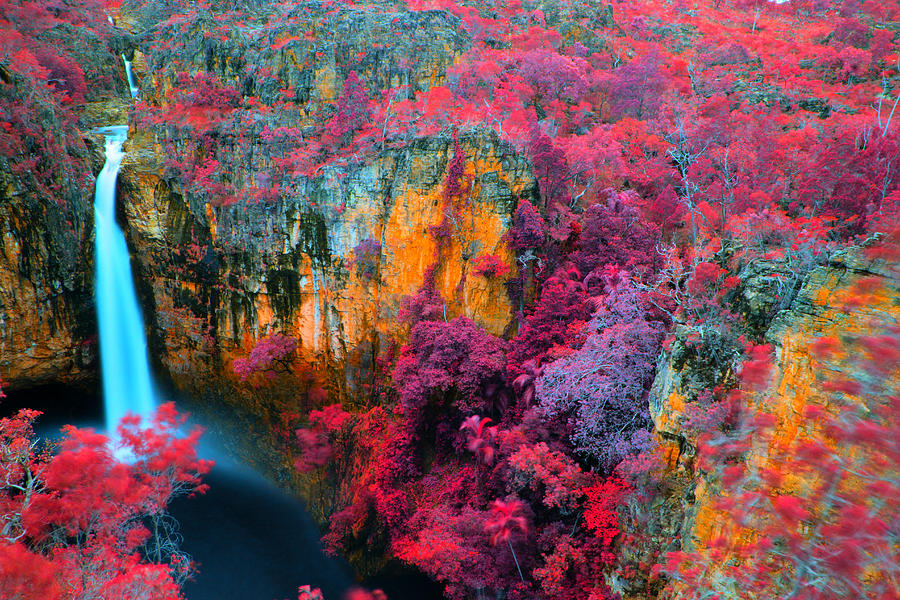 Falls of Color Photograph by Douglas Barnard
