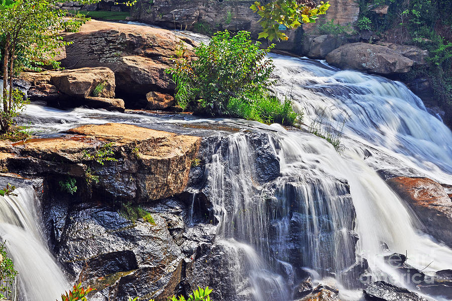 Falls of Reedy River Photograph by Elvis Vaughn