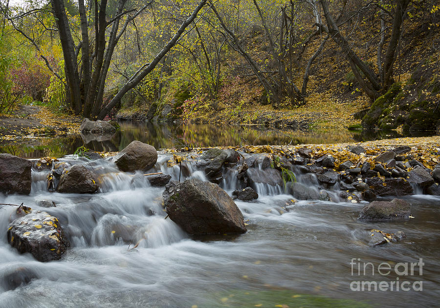 Falls on Rock Creek Photograph by Idaho Scenic Images Linda Lantzy
